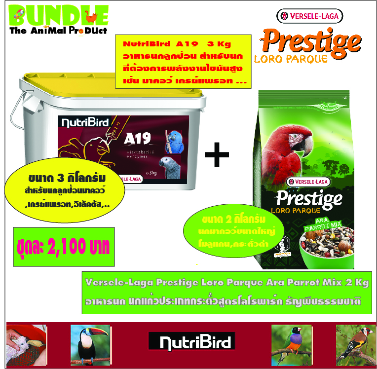 ์NutriBird A19 3 Kg และ Ara Parrot Mix 2 Kg. อาหารนกลูกป้อน A19 ขนาด 3 กิโลกรัม และ อาหารธัญพืชสำหรับนกมาคอว์ ขนาด 2 กิโลกรัม จาก Versele Laga ราคา 3,500 บาท*ส่งฟรี