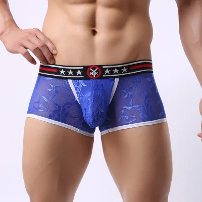 Rainny Men's New Lace Sexy Underwear Sexy Transparent Air Low Waist Briefs (3)