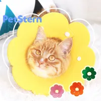 Cat CollarShape like FlowerCollar for Cat and Dog Cheap and Cute with Multiple Color