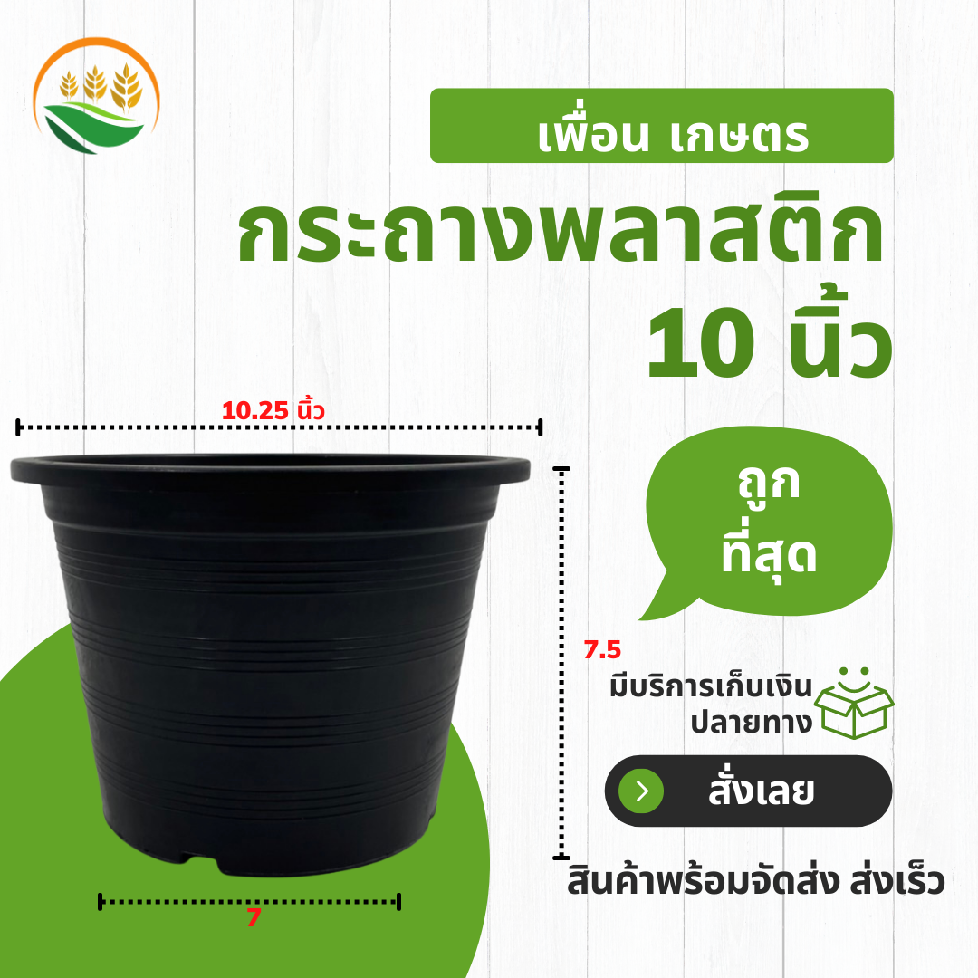 กระถางต้นไม้ กระถางปลูกต้นไม้ กระถางต้นไม้พลาสติก 10 นิ้ว กระถางดำ สีดำ