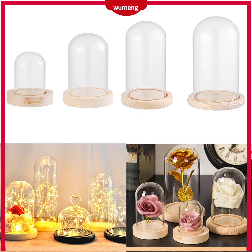 Dried Flowers DIY UV Mold Resin Fillers Expoxy Flower For Nail Art Pressed  Flowers For Crafts