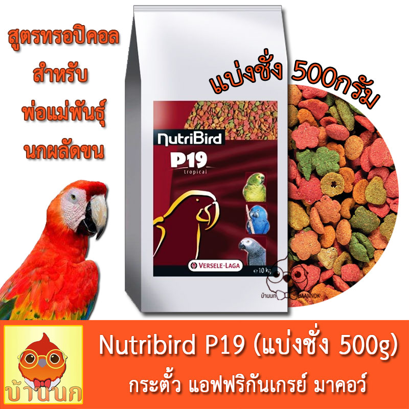 nutribird p19