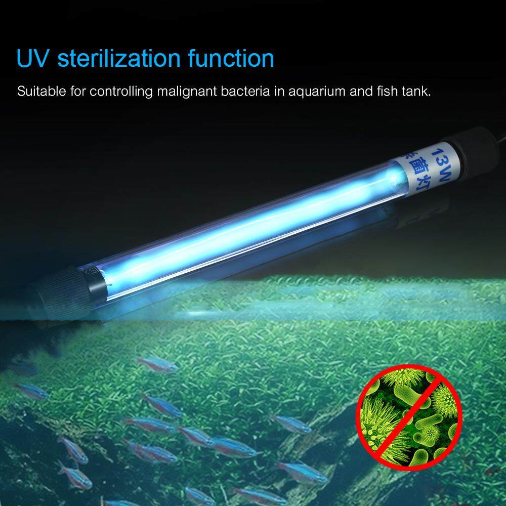 Uv Light Sterilizer For Pond Shelly Lighting