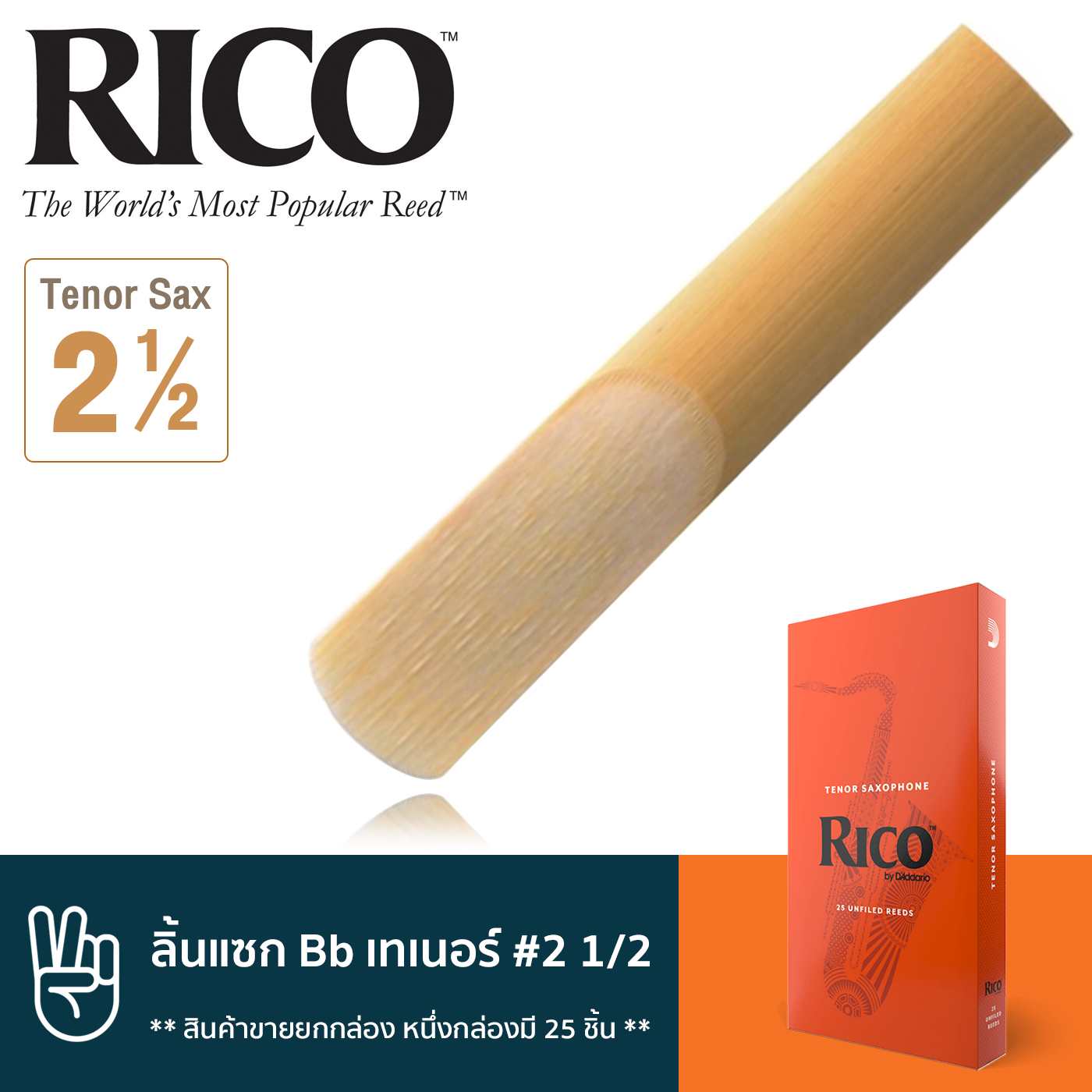 หนังสือและเครื่องดนตรี Rico RKA2525 ลิ้นแซกโซโฟน เทเนอร์ เบอร์ 2 1/2 จำนวน 25 ชิ้น ( ลิ้นเทเนอร์แซก เบอร์ 2.5 , Bb Tenor Sax Reed #2 1/2) ** สินค้าขายยกกล่อง หนึ่งกล่องมี 25 ชิ้น ** ราคา 3,584 บาท*ส่งฟรี