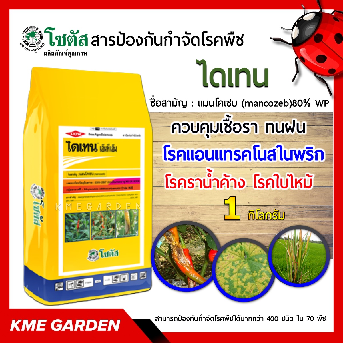 🦠โรคพืช🦠ไดเทน เอ็นที ขนาด1กิโลกรัม โซตัส สารป้องกันกำจัดโรคพืชสูตรทนฝน เทคโนโลยีเพื่อการทนฝนโดยเฉพาะ ควบคุมเชื้อราสาเหตุโรคพืชได