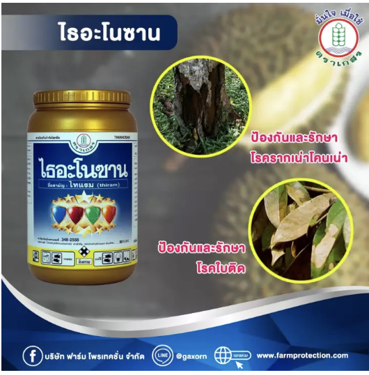 250 กรัม-3