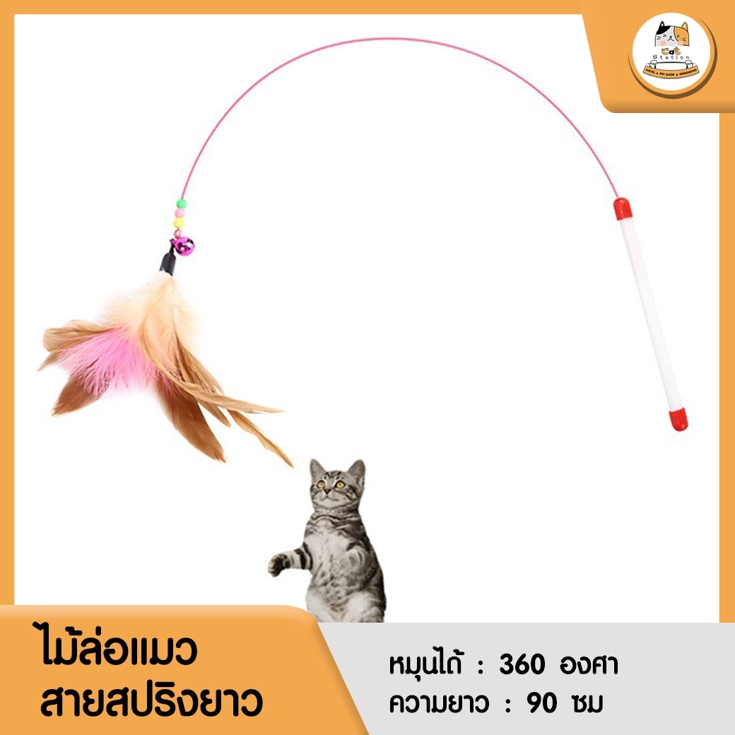 Cat Station Spring feather ไม้ล่อแมวสปริงยาวหัวขนนก ของเล่นแมว ของเล่นสัตว์เลี้ยง ไม้ตกแมว ของใช้สัตว์เลี้ยง วัสดุทำจากสปริงหมุนได้360องศา ราคา 11 บาท*ส่งฟรี