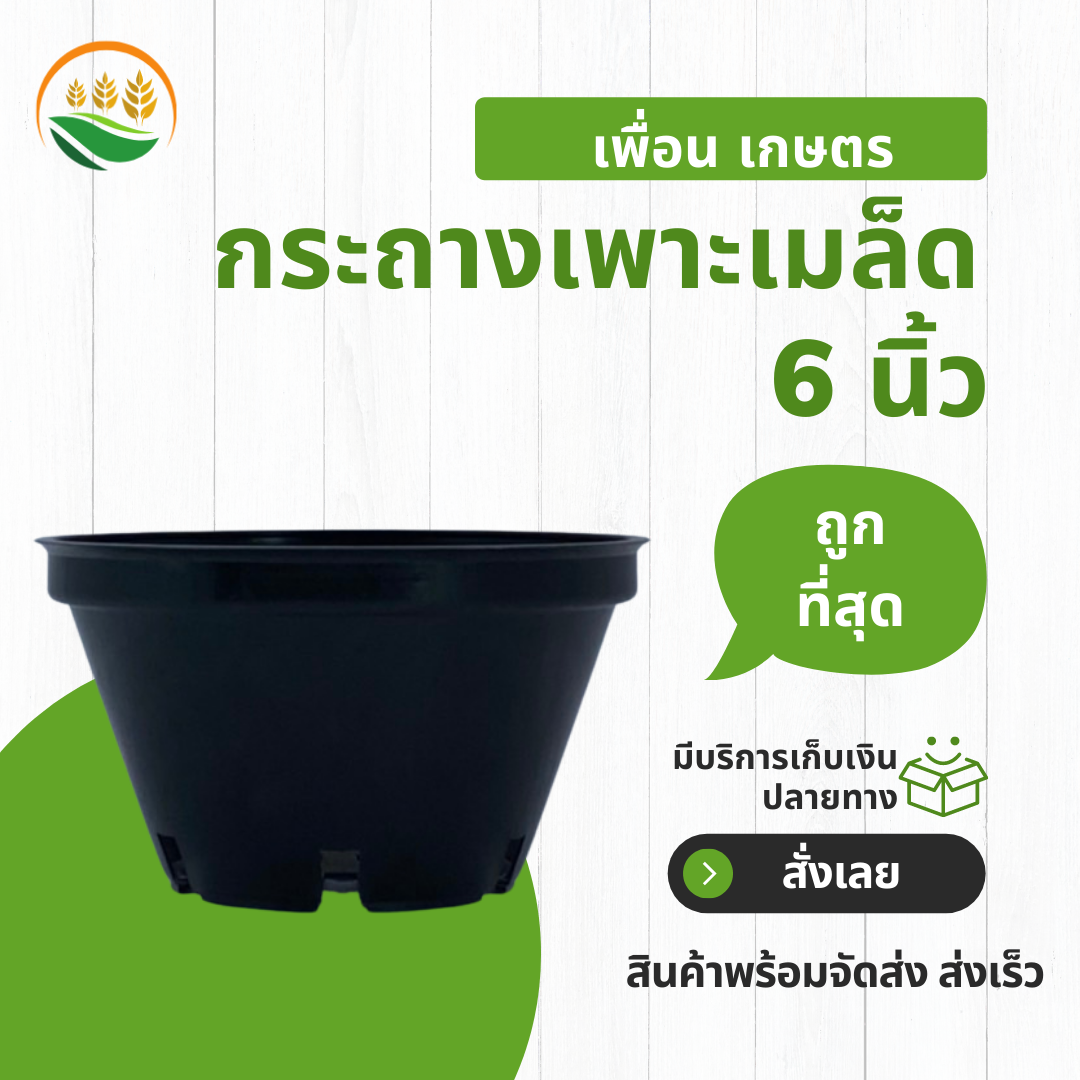 กระทางต้นไม้ กะถางต้นไม้ กระถางพลาสติก กระถางเพาะเมล็ด 6 นิ้ว สีดำ ทรงเตี้ย